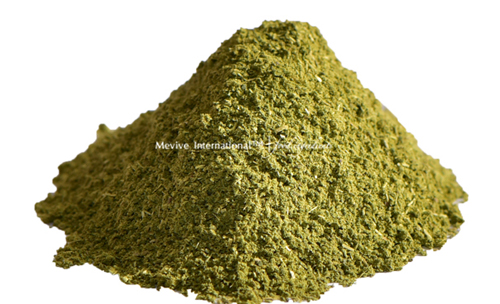 Dehydrated Curry Leaf Powder and Minced Supplier and Exporters
