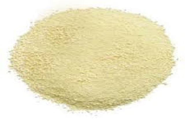 Dehydrated and Dried Bottle Gourd Powder – Suppliers and exporters