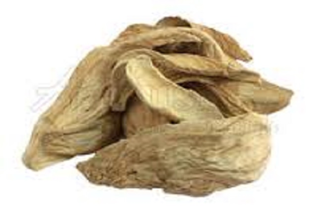 Dried Amchur Supplier and Exporters